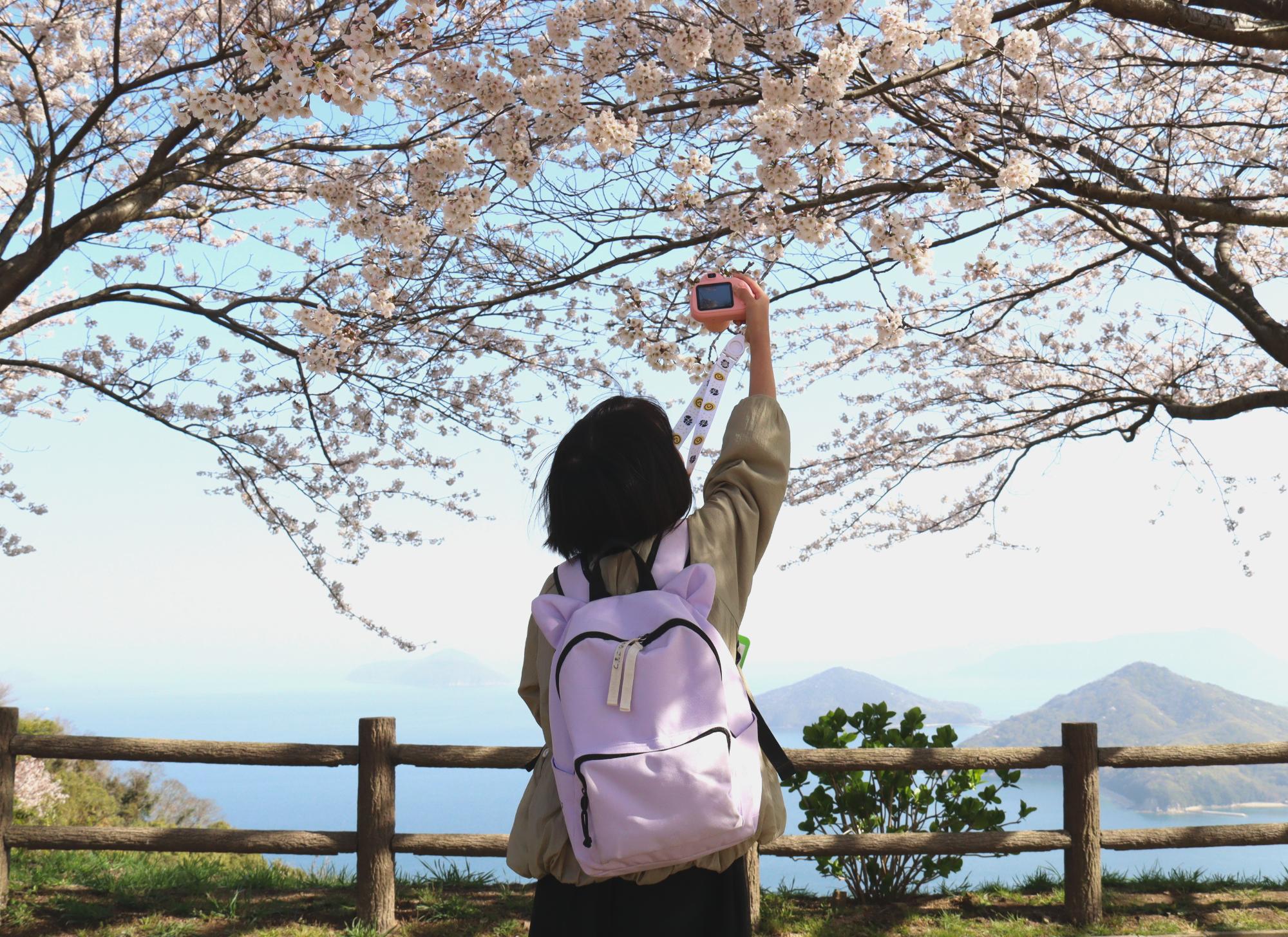 展望台で撮影