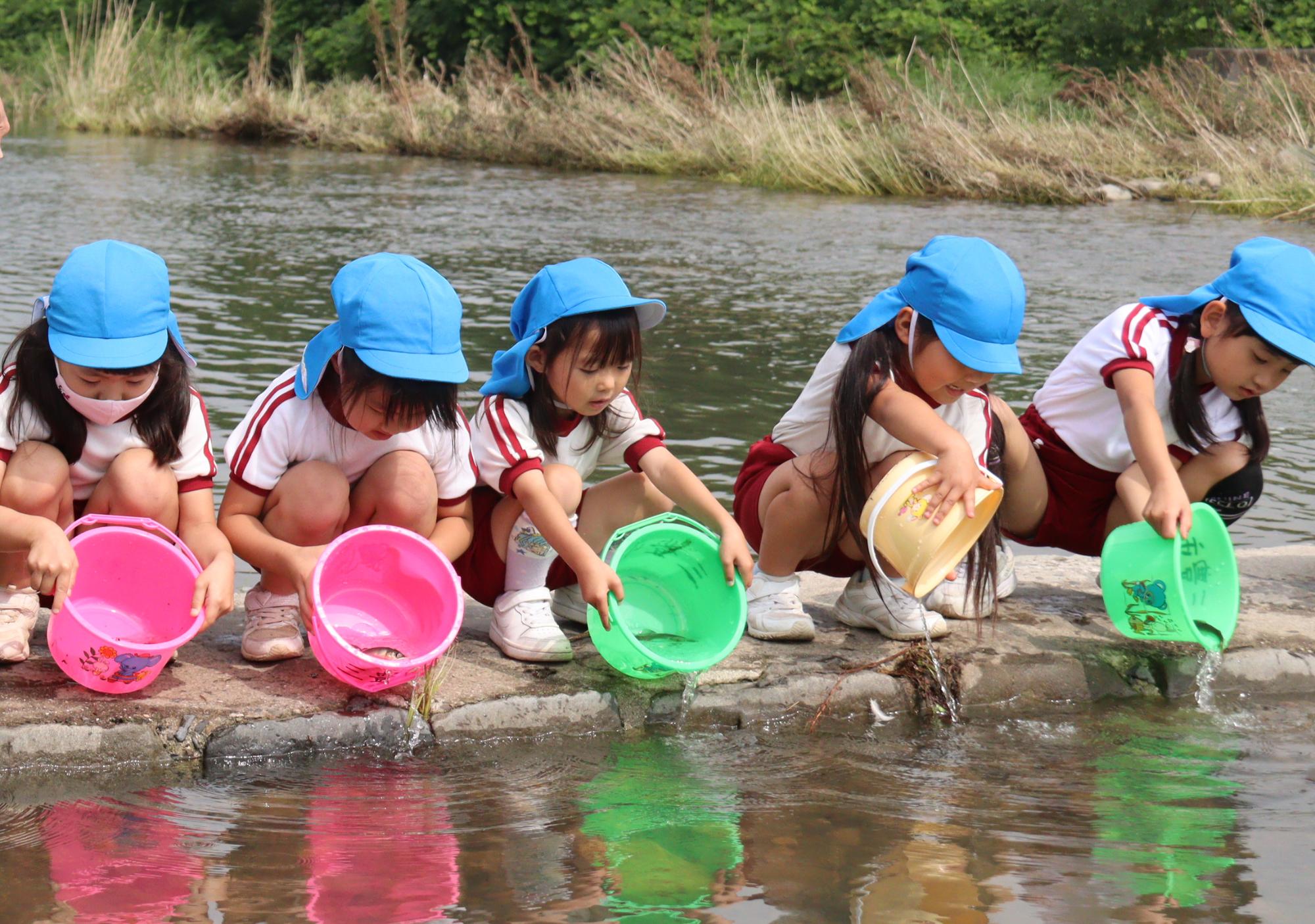 鮎の稚魚を川に放流している様子（財田こども園）