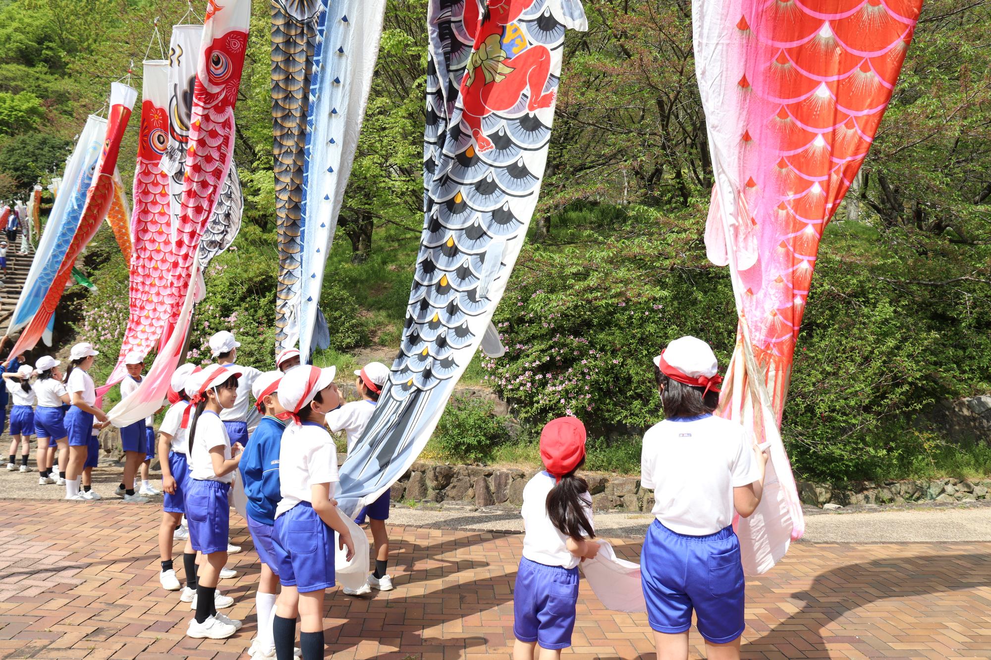 今年もこいのぼりを揚げ、成長を願いました（桑山小学校）