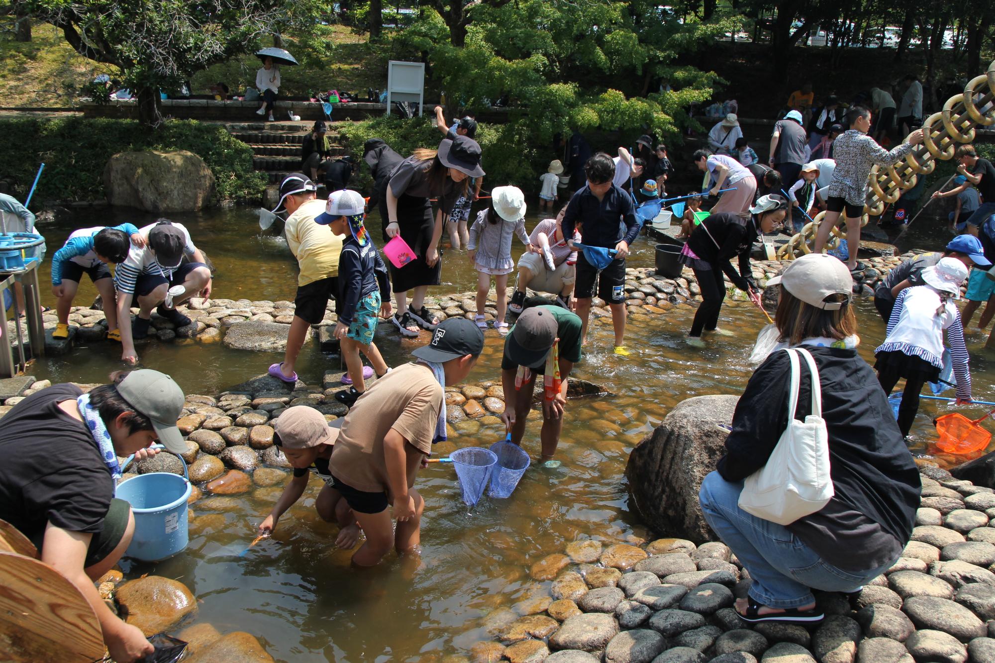 水辺の納涼祭