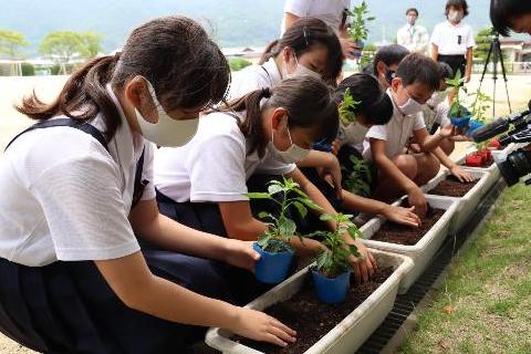 苗を植える児童