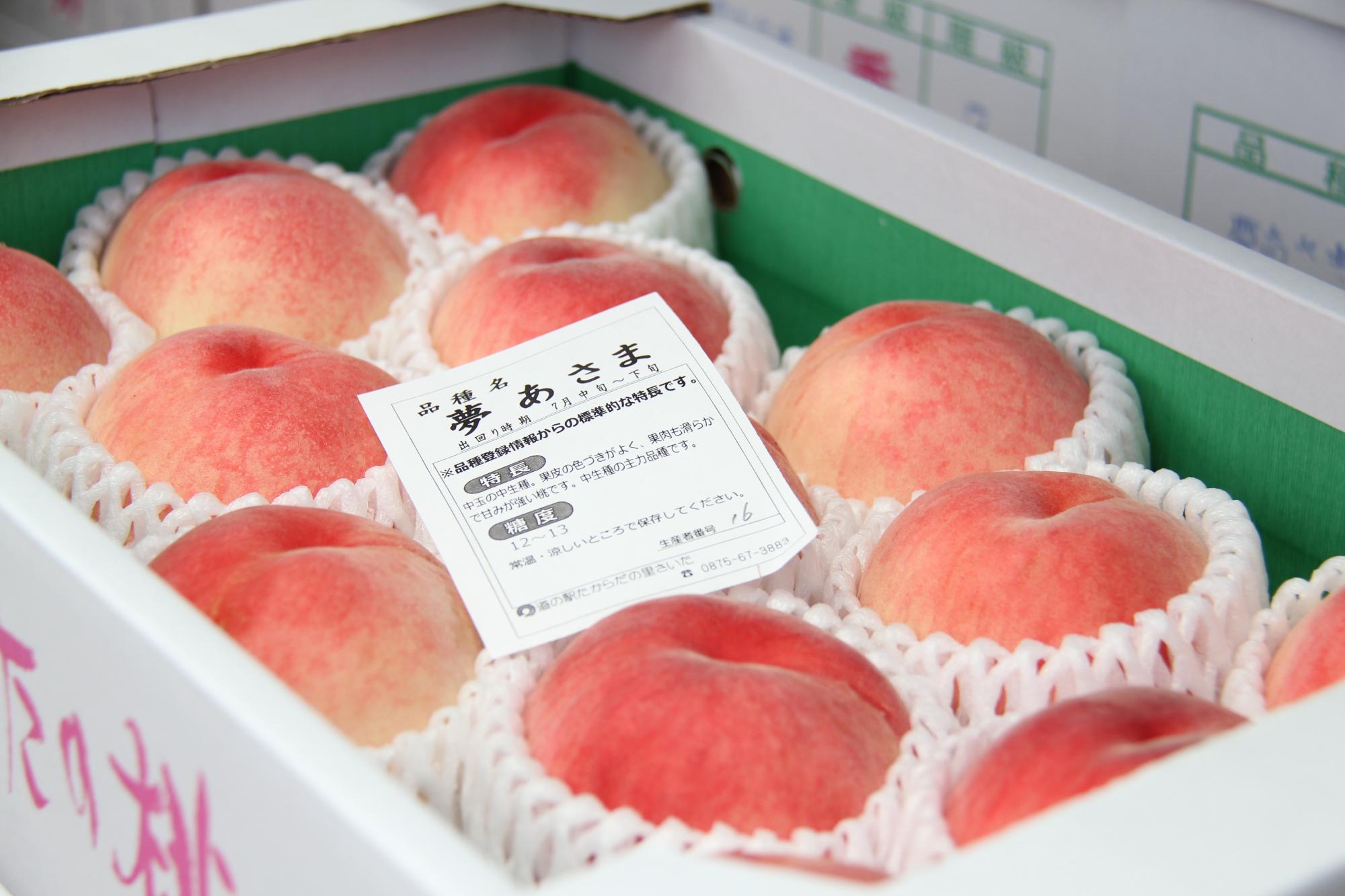 たからだモモ