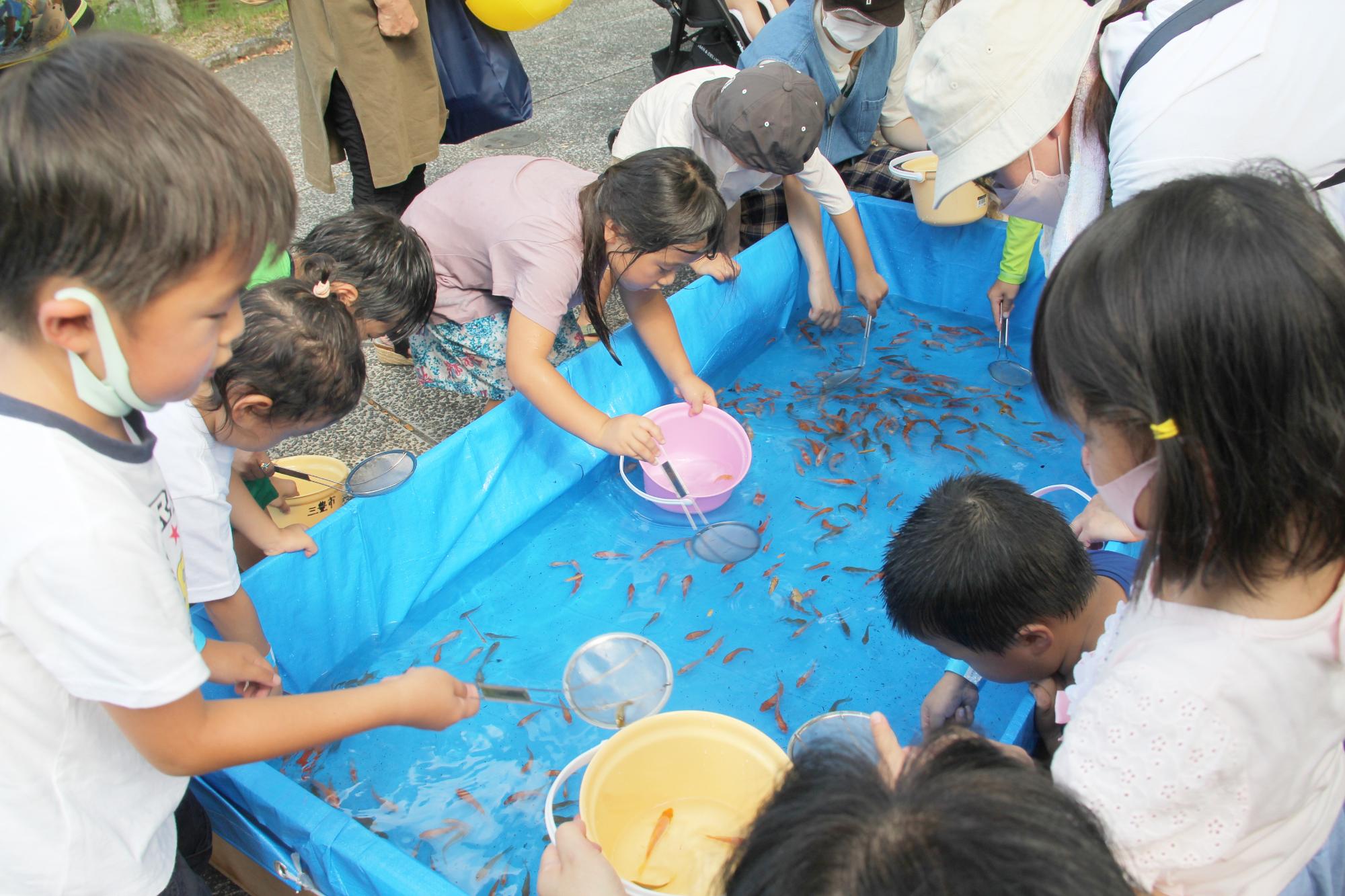 金魚すくい