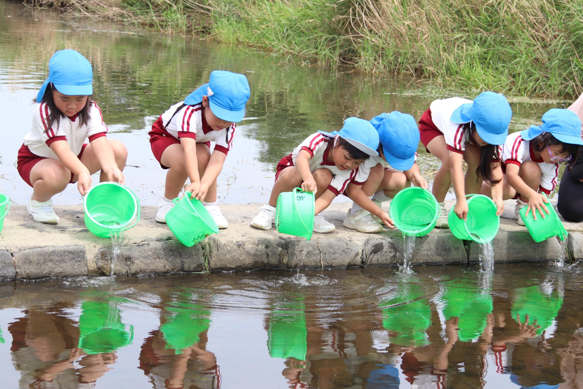 大きくなぁれ！アユの稚魚を放流（財田こども園）