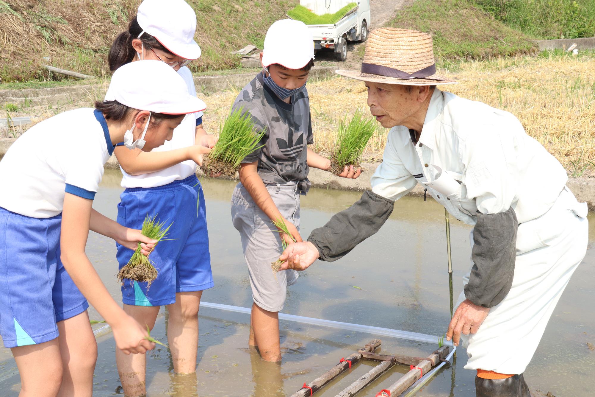 田植えの指導をする地元の方