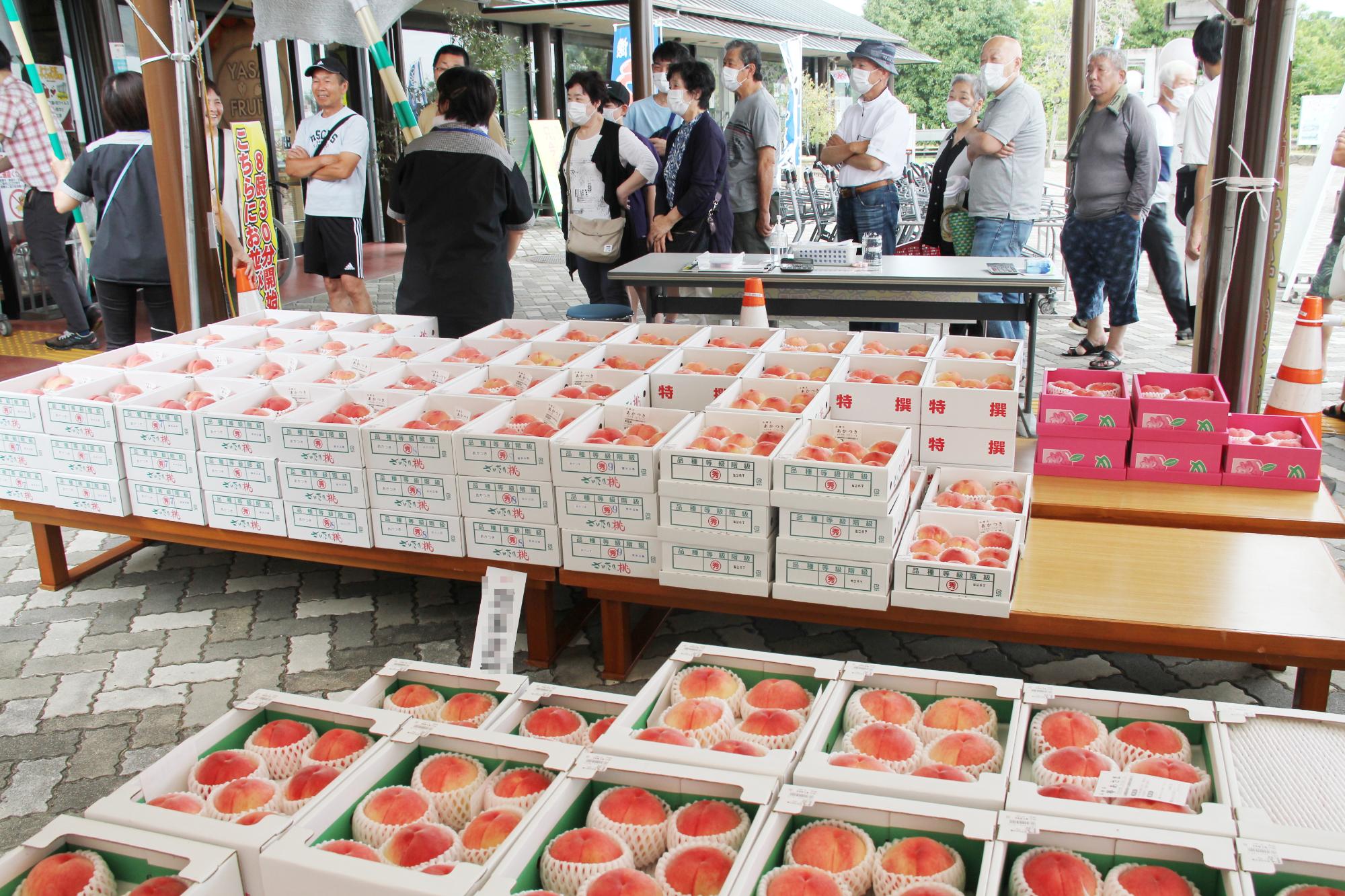 旬の味フェア もも売り場
