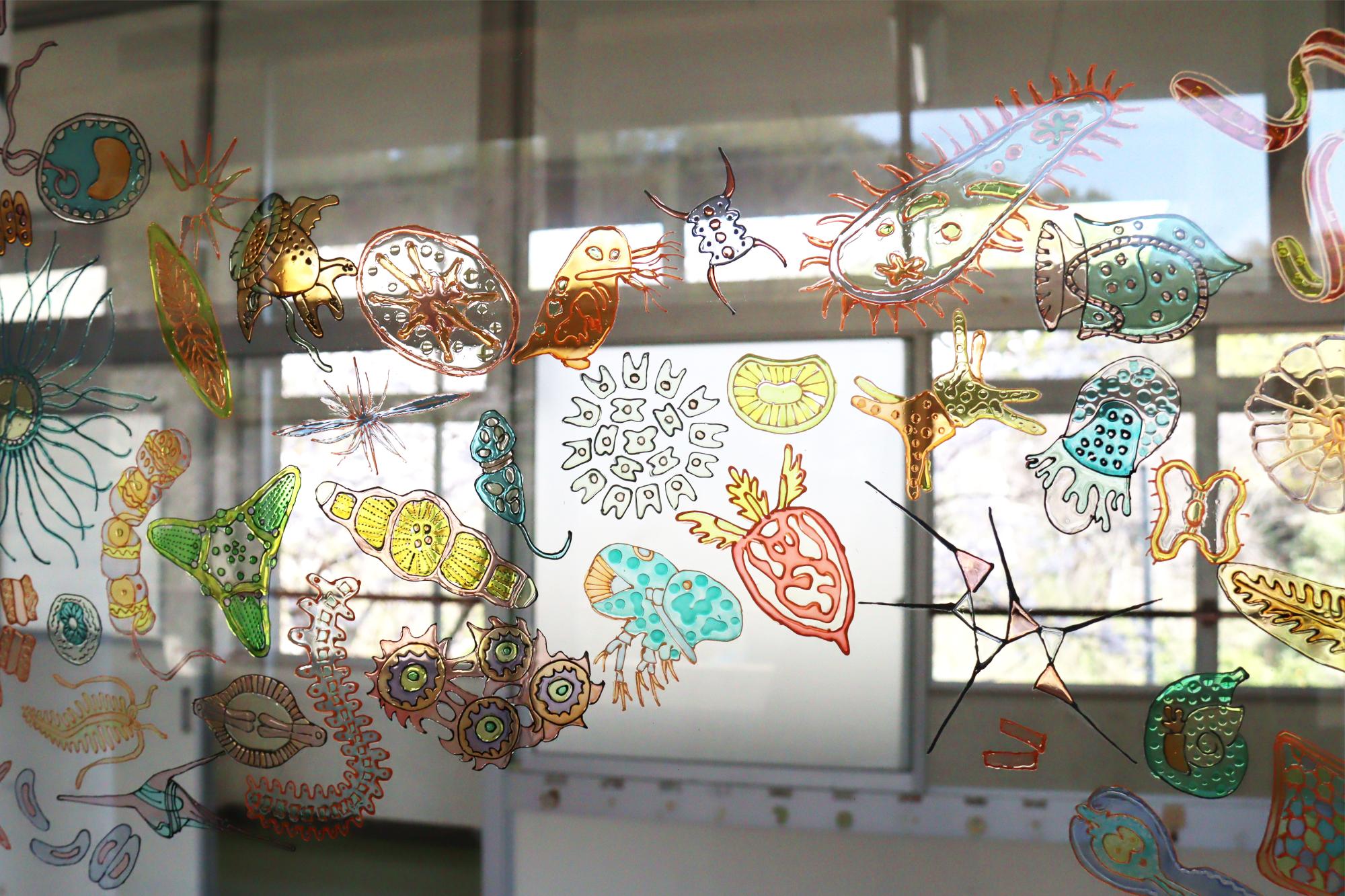 タラジャンビオアート作品
