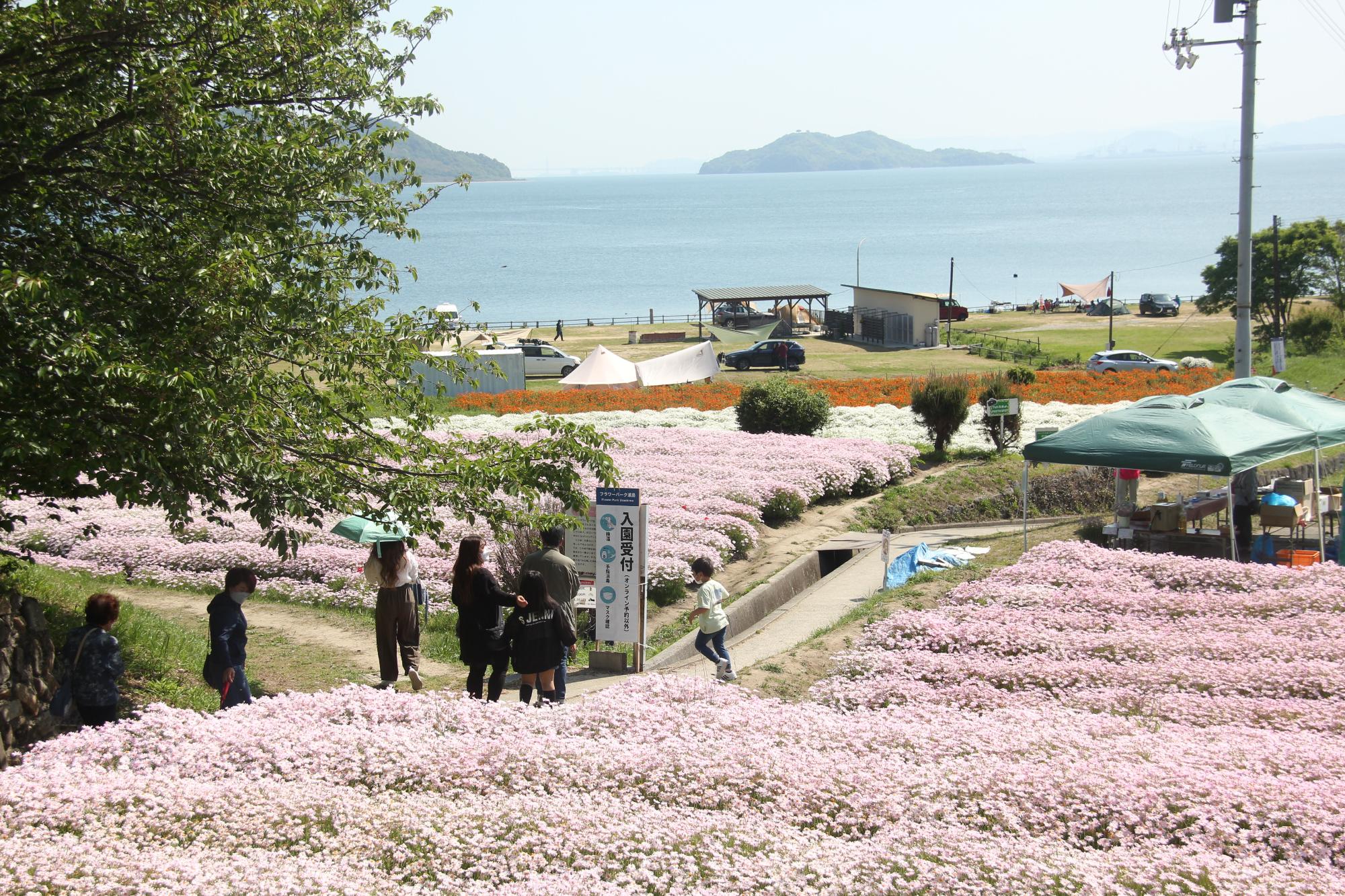 フラワーパーク浦島開花シーズン