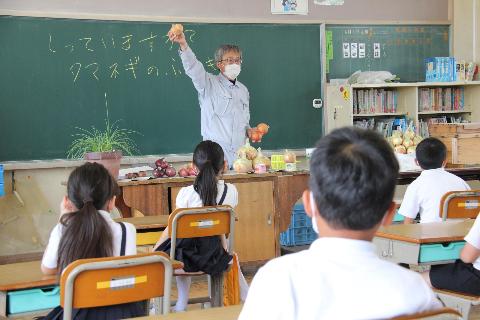 タマネギの説明をしている講師