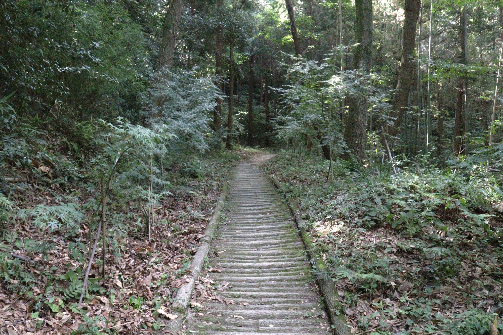 志保山登山道