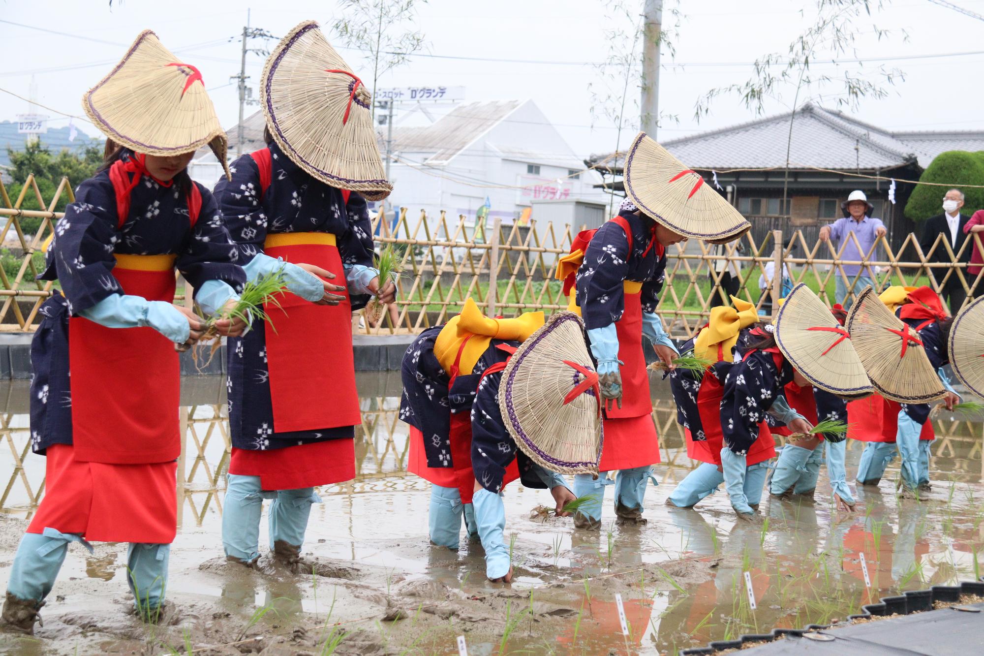 田植式